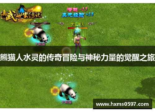 熊猫人水灵的传奇冒险与神秘力量的觉醒之旅