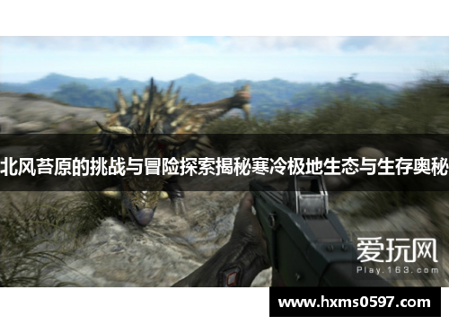 北风苔原的挑战与冒险探索揭秘寒冷极地生态与生存奥秘