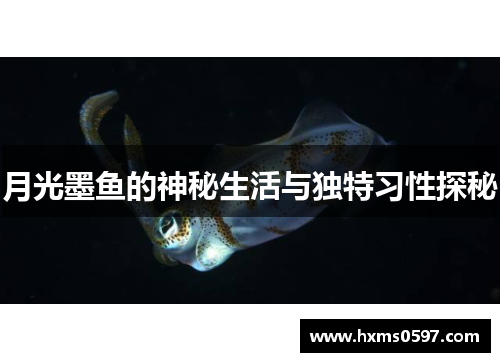 月光墨鱼的神秘生活与独特习性探秘